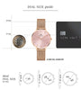 Daniel Wellington Petite Women Light Pink Round Dial Analog Watch - DW00100367