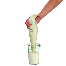 Philips Hand Blender 250 Watt - HR1350/90