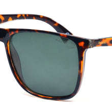POLAROID Men Full-Rim Wayfarers X15043