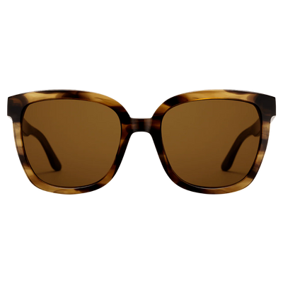 Daniel Wellington Bio-Acetate Eyewear One Size Stainlesss Steel Brown demi