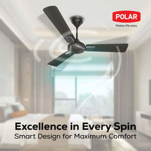 POLAR EFISAVY High Air Delivery Ceiling Fan - Titanium Grey | With Powerful 100% Copper Motor, Wider Blades and Anti-Dust Coating | Sleek & Modern Style Ceiling Fan For Home, Bedroom & Living Room