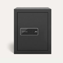 Godrej  NX Pro 40-Litres Steel Digital Home Locker